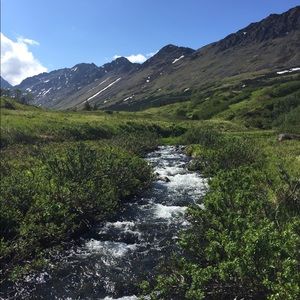 Meet your Posher, Mandi